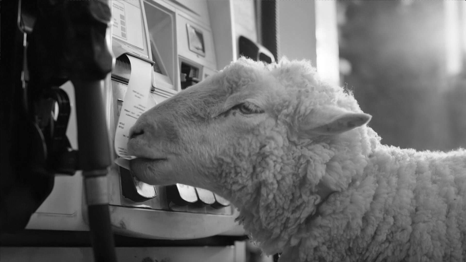 This is prius now desktop 1920x1080 b&w