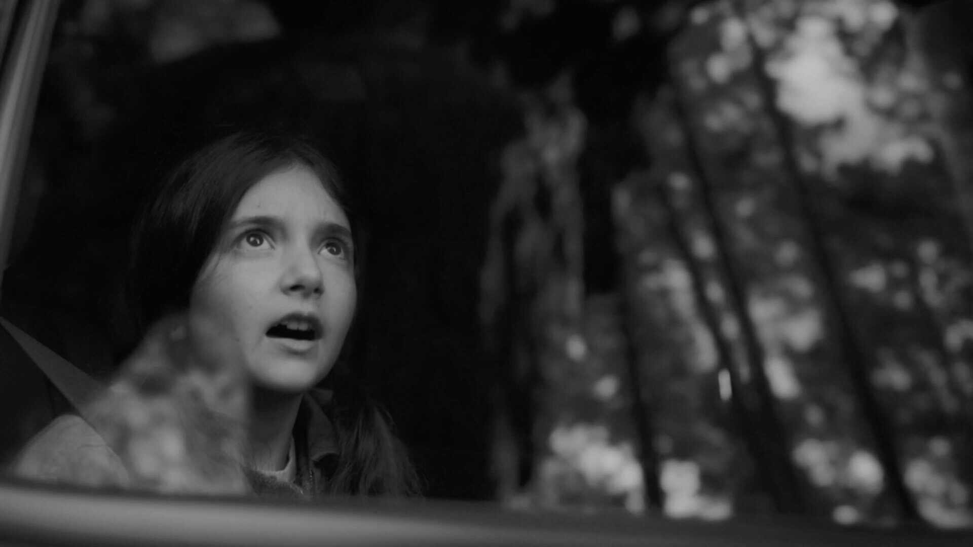 Toyota 4runner window to the wild desktop 1920x1080 bw