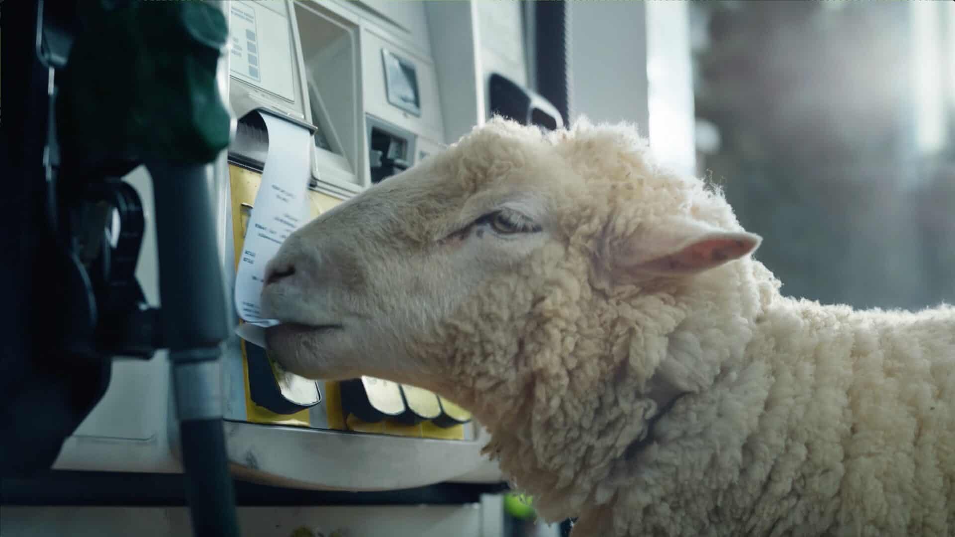 Toyota this is prius now desktop 1920x1080